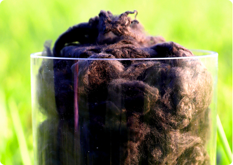 贝斯特 - 全球最奢华的游戏平台