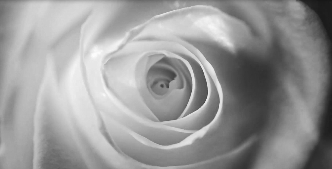 贝斯特 - 全球最奢华的游戏平台